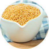 Mustard seed
